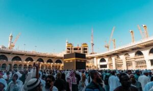 01hdncd1cxzayn8z5qweb69q33