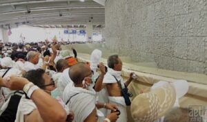 233_ELSHINTADOTCOM_20230620_whatsapp_image_2023-06-20_at_17_01_27_(1)