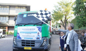 PJePGbxmYh2KvhHKuQVEkvrdAoB6FsEOqoJo7ntO