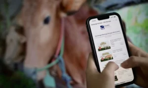 WhatsApp-Image-2024-06-04-at-110155-1202630136