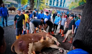 WhatsApp-Image-2024-06-17-at-220928_0a521137-3479263658