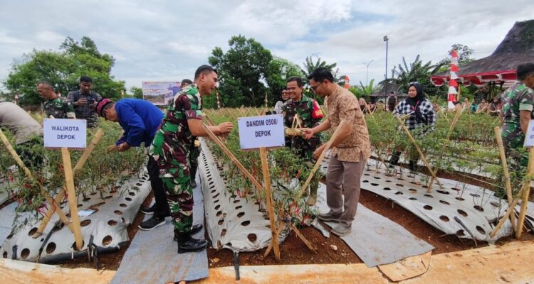 Kodim 0508/Depok Panen Perdana Cabai di Lahan Urban Farming Pesona Square