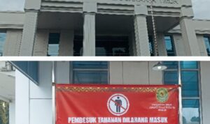 IMG-20241129-WA0005