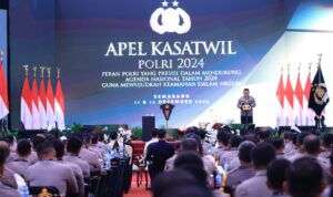 IMG-20241211-WA0037(1)