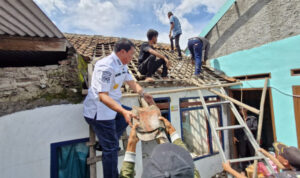 berita-0205a9d9-9a4b-4385-be8a-a9f34b58efb2