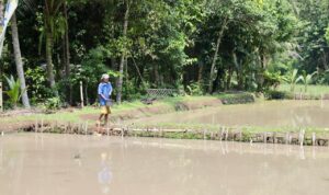 IMG-20250924-WA0011